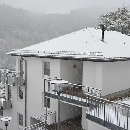 In Mit Skilift In Der Naehe Apartment Willingen (Upland)