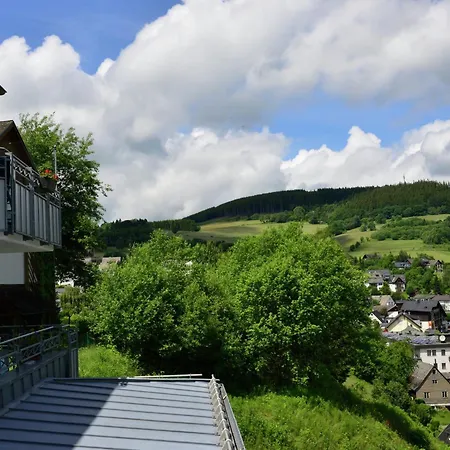 In Mit Skilift In Der Naehe * Willingen (Upland)