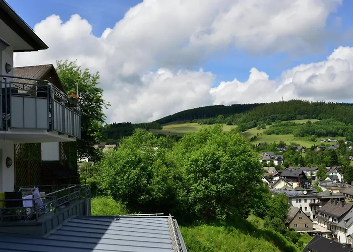 In Mit Skilift In Der Naehe * 빌링겐